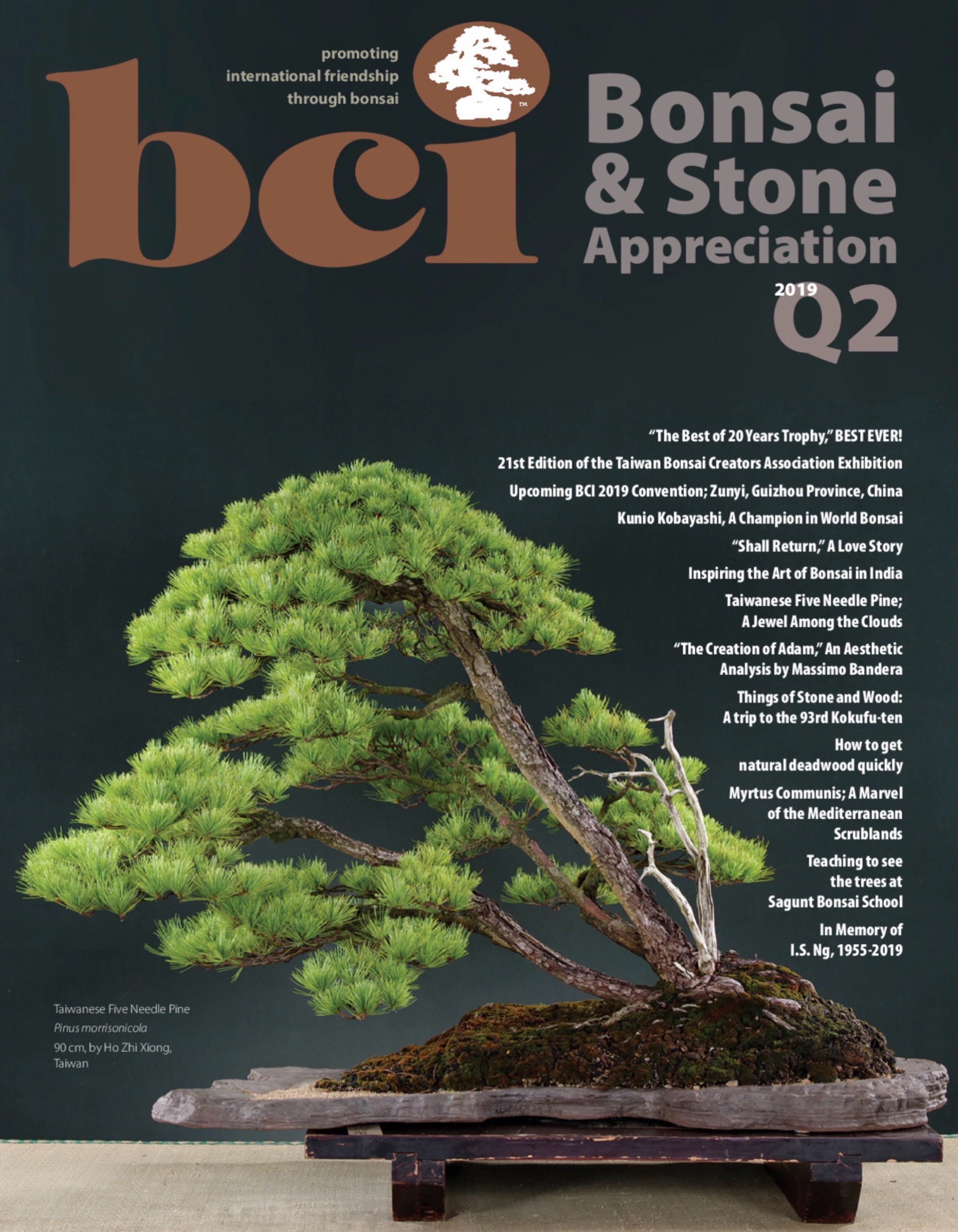 Publicación en BCI: Bonsai & Stone Appreciation