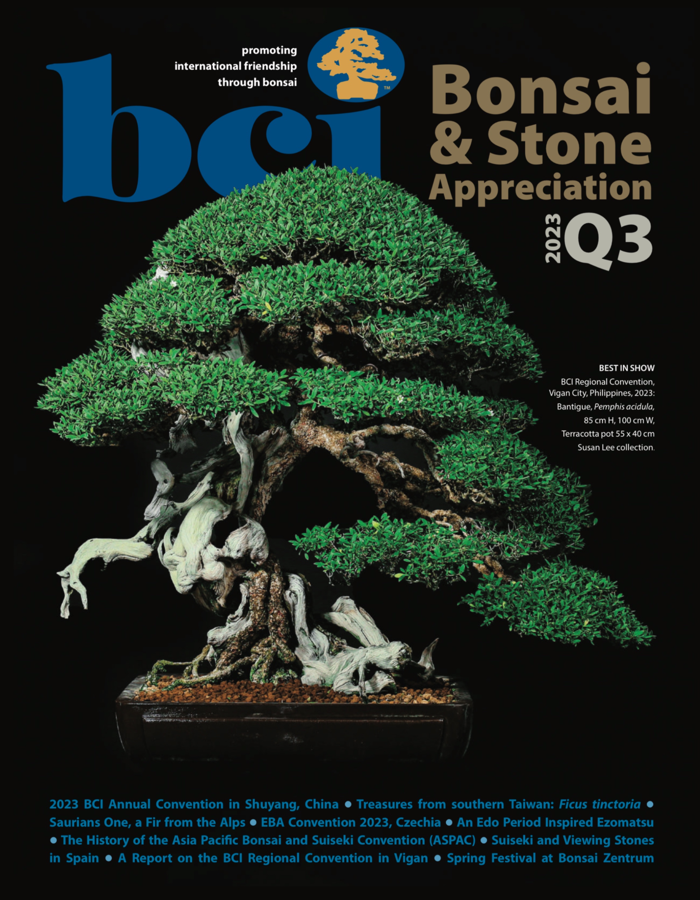 Publicación en BCI: Bonsai & Stone Appreciation