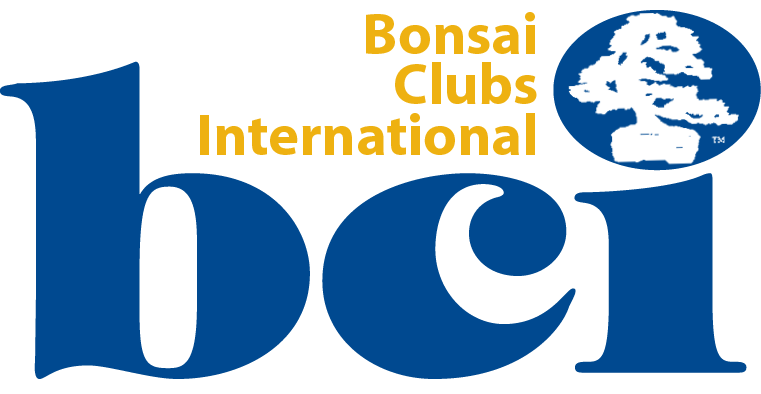 Logotipo de Bonsai Clubs International (BCI)