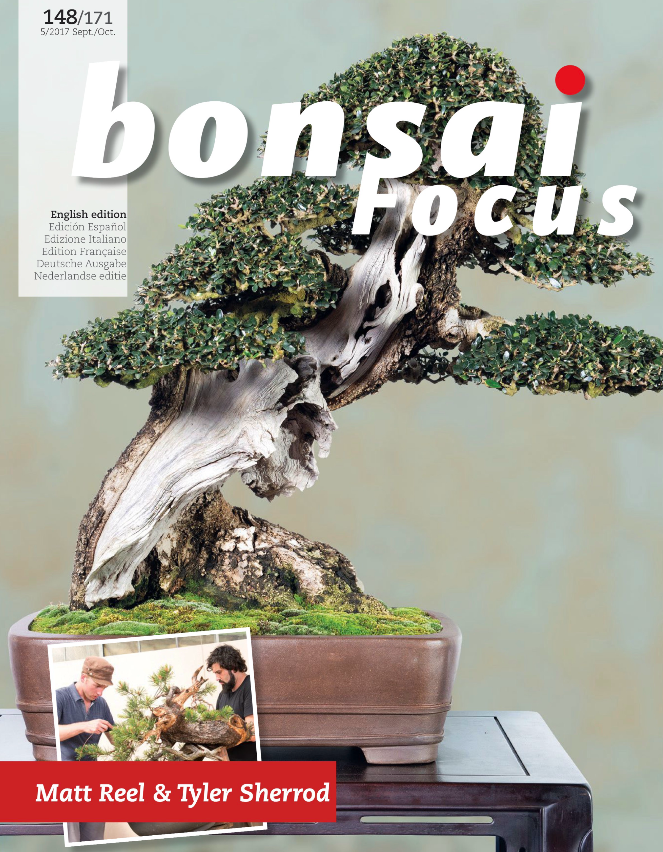 Publicación en Bonsai Focus EN