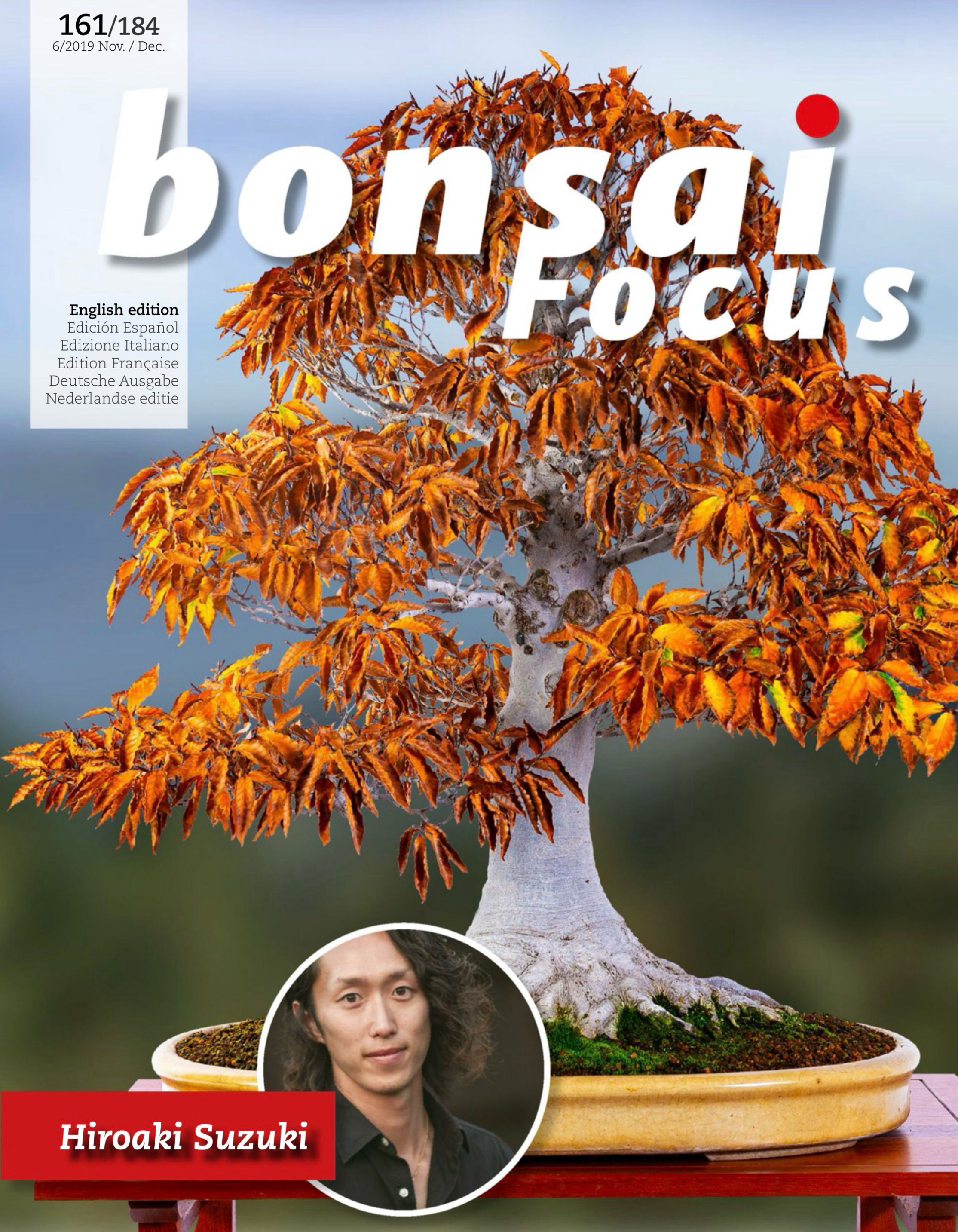 Publicación en Bonsai Focus EN