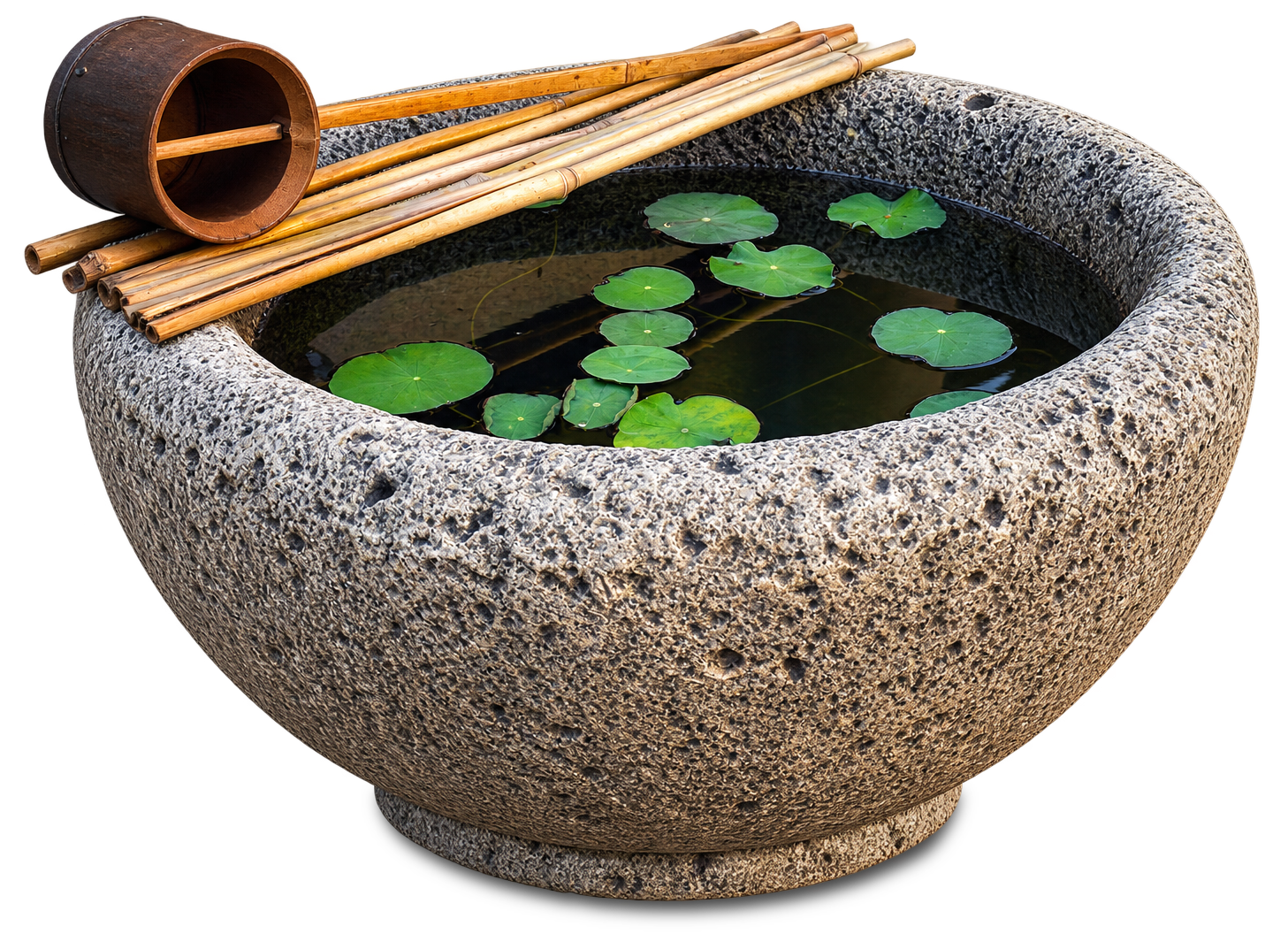 Chōzubachi (手水鉢) de piedra con nenúfares enanos flotando en el agua y un hishaku de bambú apoyado en el borde, jardín de la Escuela Sagunt-En