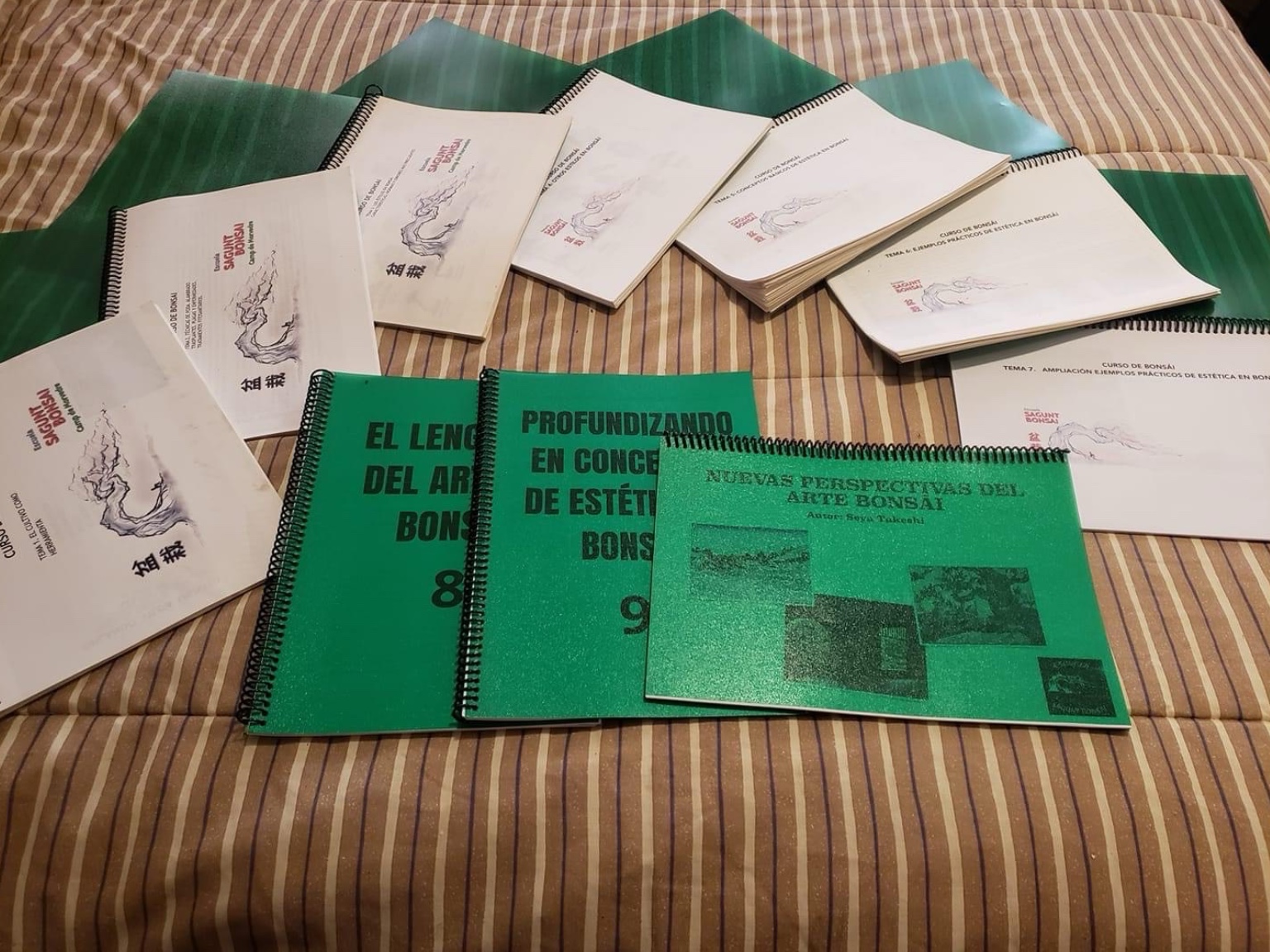 Temario del Curso Avanzado de Arte Bonsái · Escuela Tradicional Sagunt-En