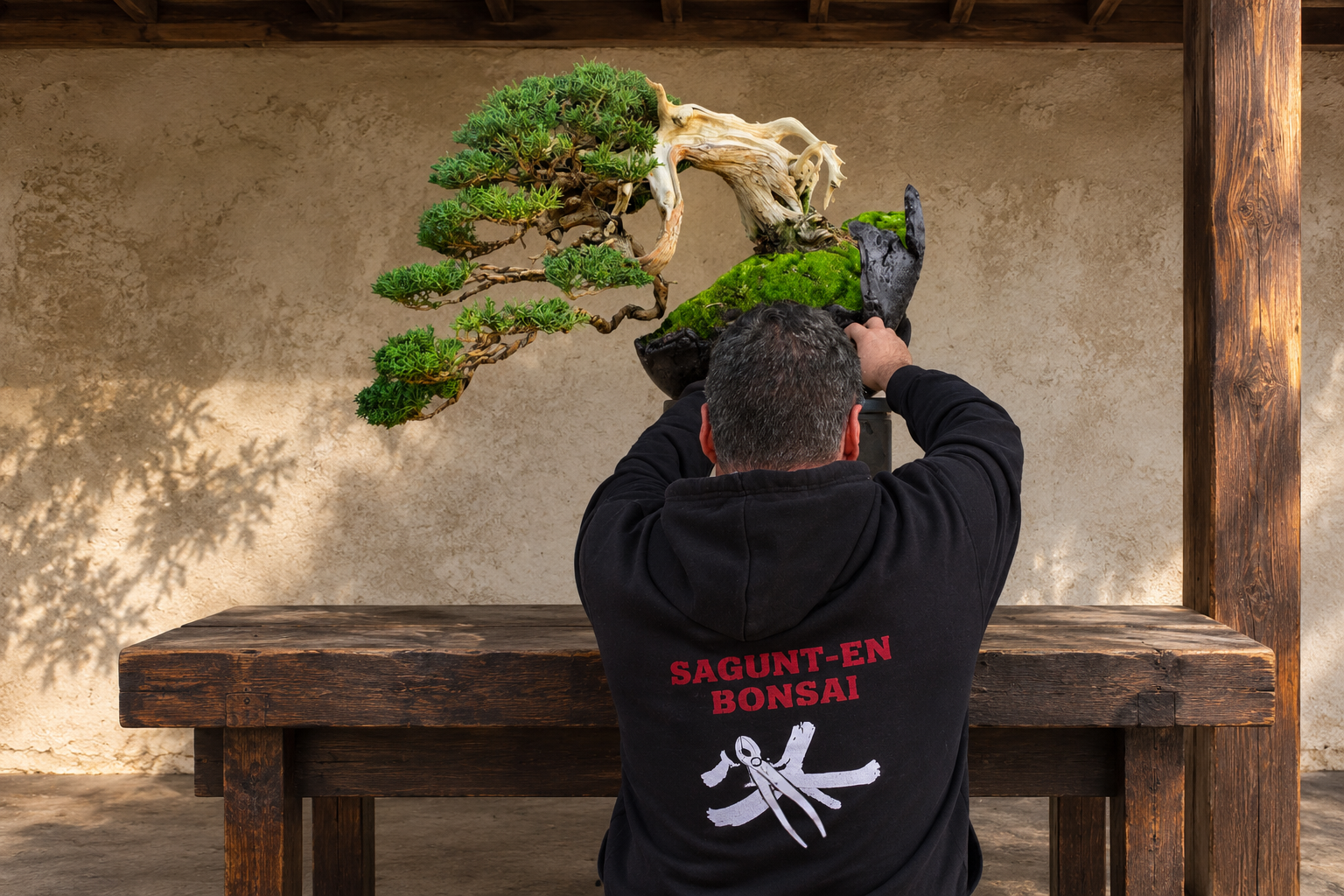 Masaru Buko, de espaldas, trabajando un enebro chino (Juniperus chinensis) en estilo semi-cascada (han-kengai) sobre una mesa de madera, con el logotipo de la Escuela Tradicional Sagunt-En en la sudadera