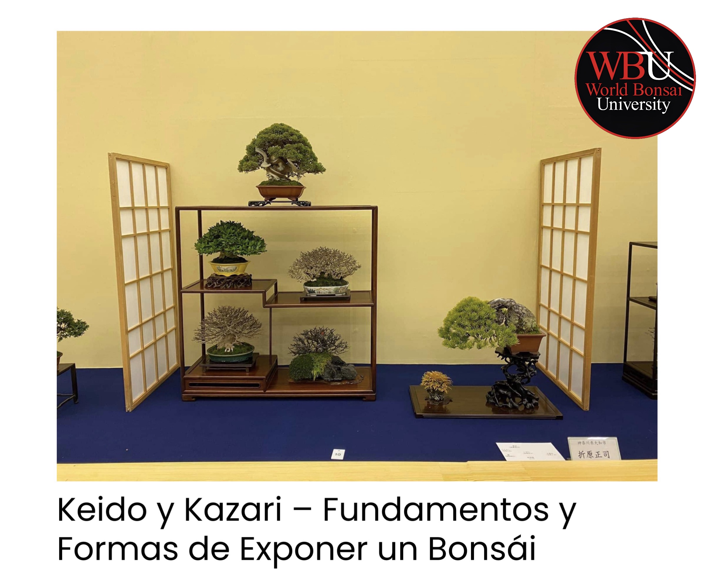 Artículo en Blog World Bonsai University: Keido y Kazari – Fundamentos y Formas de Exponer un Bonsái